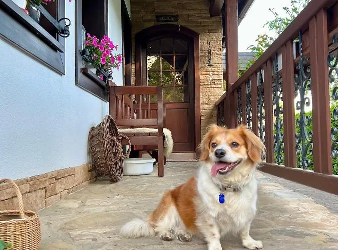 Matejko * Liptovský Mikuláš